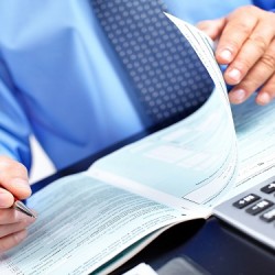 Businessman working in the office